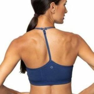 NEW AR-33 Zion Bra blue sports bra